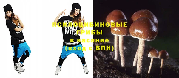 COCAINE Каменка