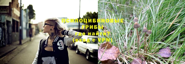 бутират Каменногорск