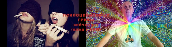 бутират Каменногорск